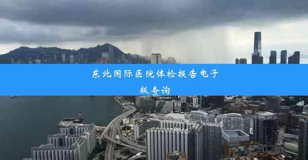 东北国际医院体检报告电子版查询