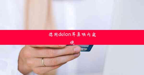 德国delon耳鼻喉内窥镜