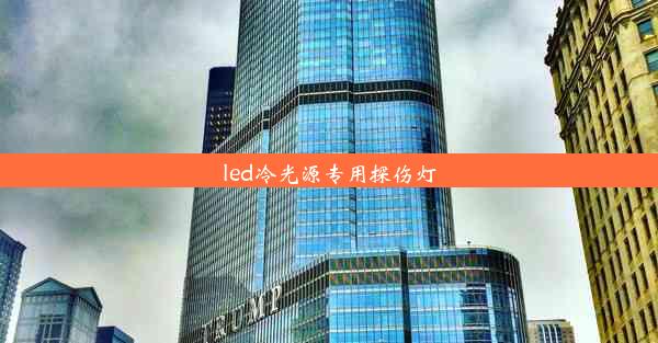 led冷光源专用探伤灯